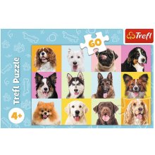 TREFL Puzzle 60 elements Sweet dogs