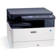Принтер Xerox B1025 Platen Mono A3...