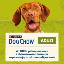 Purina Dog Chow Adult Lamb - dry dog food -...