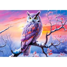 Castor Puzzle 500 elements Owls Perfect...