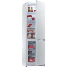 Холодильник SNAIGE Fridge RF36SM-S0002E0