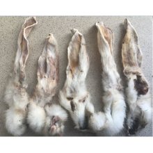 Laikas Gardums Dried rabbit ears with hair 1...