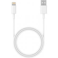 Tracer 47086 USB 2.0 iPhone AM Lightning 1m...