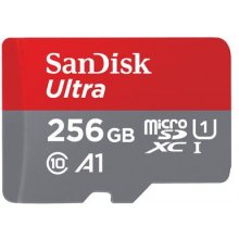 Mälukaart SanDisk MEMORY MICRO SDXC 256GB...