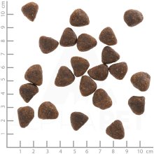 WOLFSBLUT Wide Plain Horse - dry dog food -...