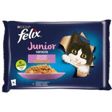 Purina Felix Fantastic Junior rural flavors...