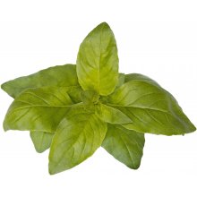 Click & Grow Smart Garden refill Lime Basil...