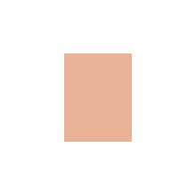 Shiseido Future Solution LX Total Radiance...