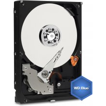 Жёсткий диск WESTERN DIGITAL HDD Blue 500GB...