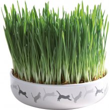 Trixie Ceramic bowl for cat grass, ø 15 × 4...