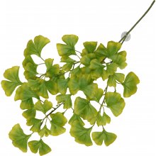 UNSORTED Hanging plant with suction cups...