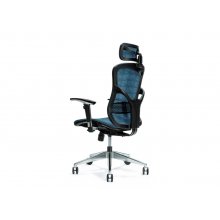 BEMONDI Ergonomic office chair ERGO 500 blue